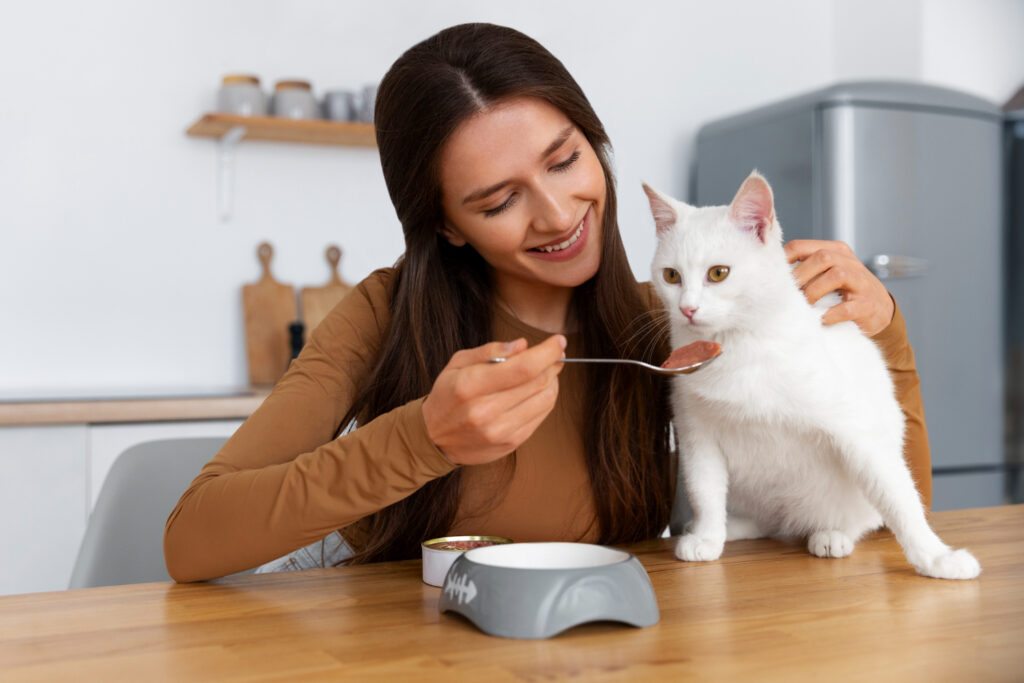 Como identificar sinais de que seu gato não está se alimentando bem